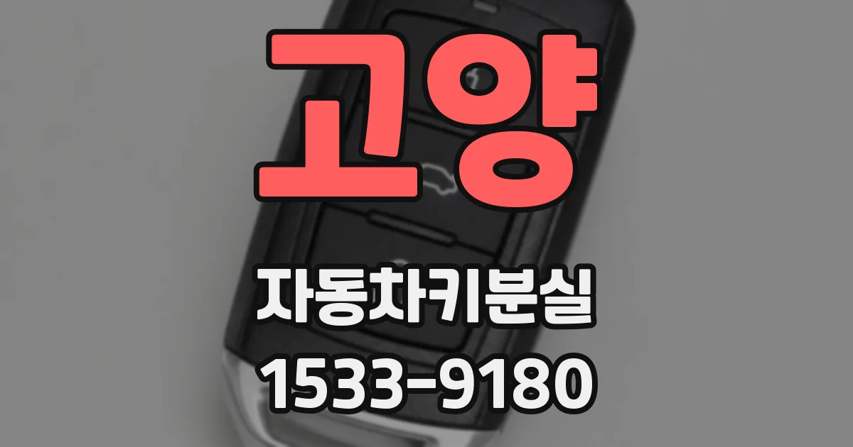 고양 자동차키분실