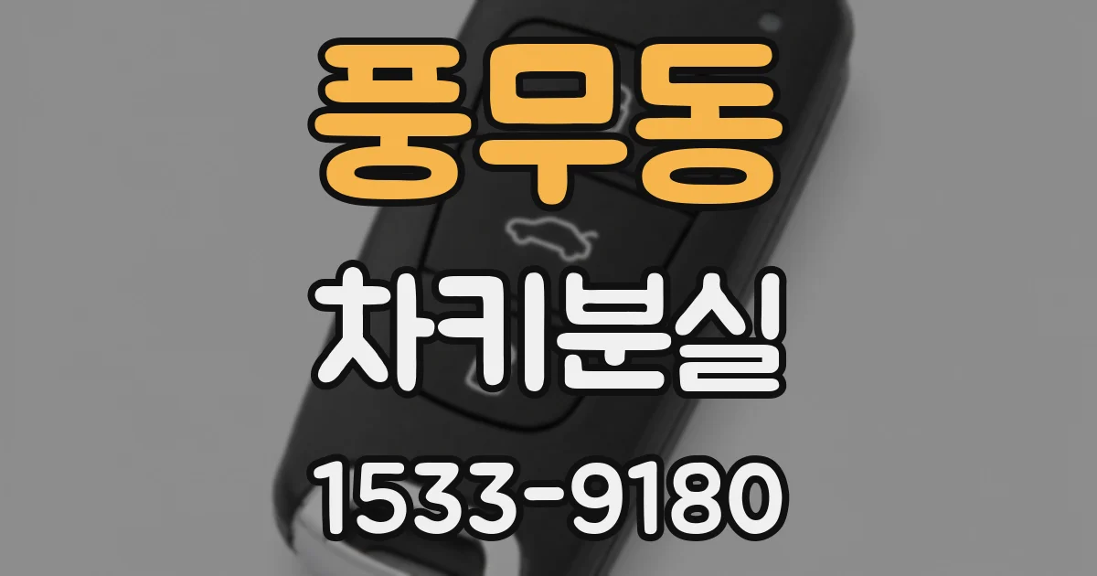 풍무동 차키분실