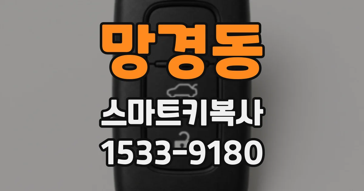 망경동 스마트키복사