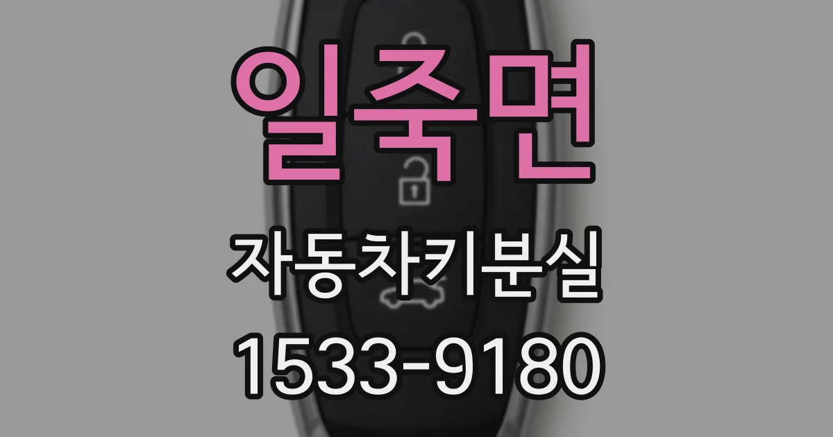 일죽면 자동차키분실