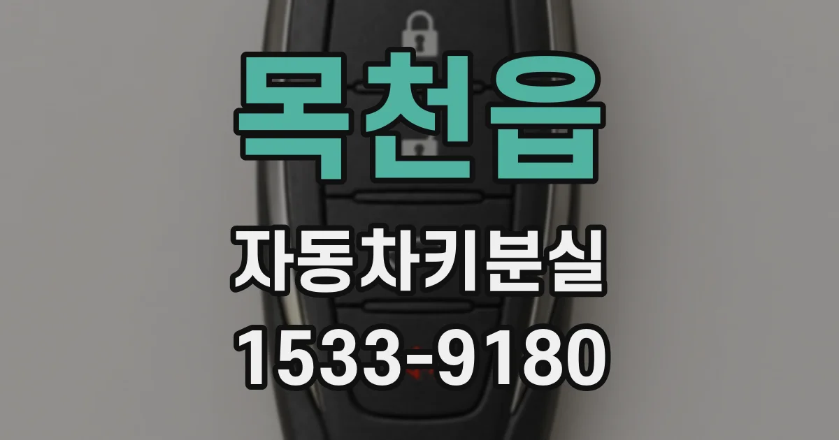 목천읍 자동차키분실