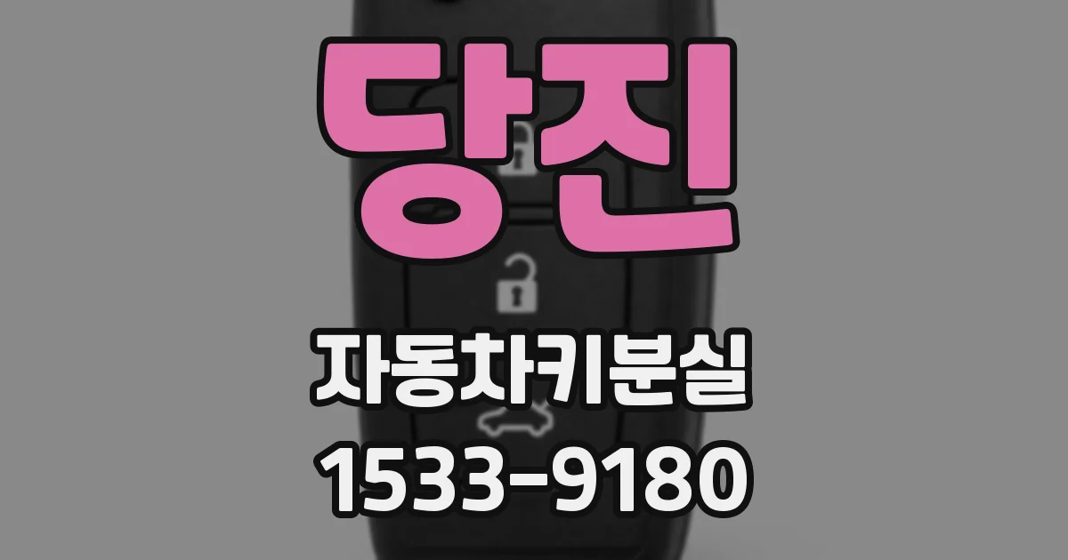 당진 자동차키분실