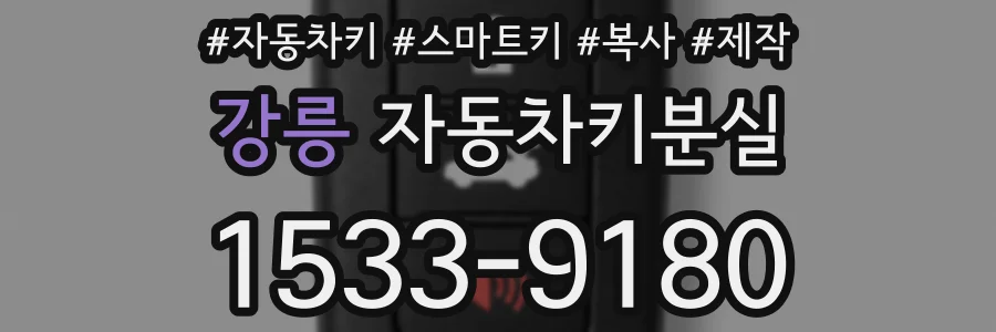 강릉 자동차키분실