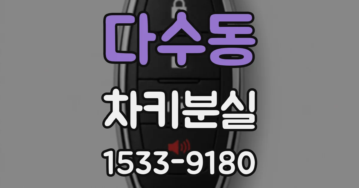 다수동 차키분실