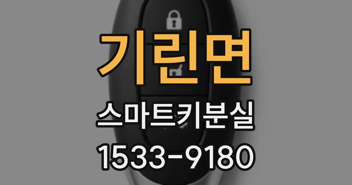 기린면 스마트키분실
