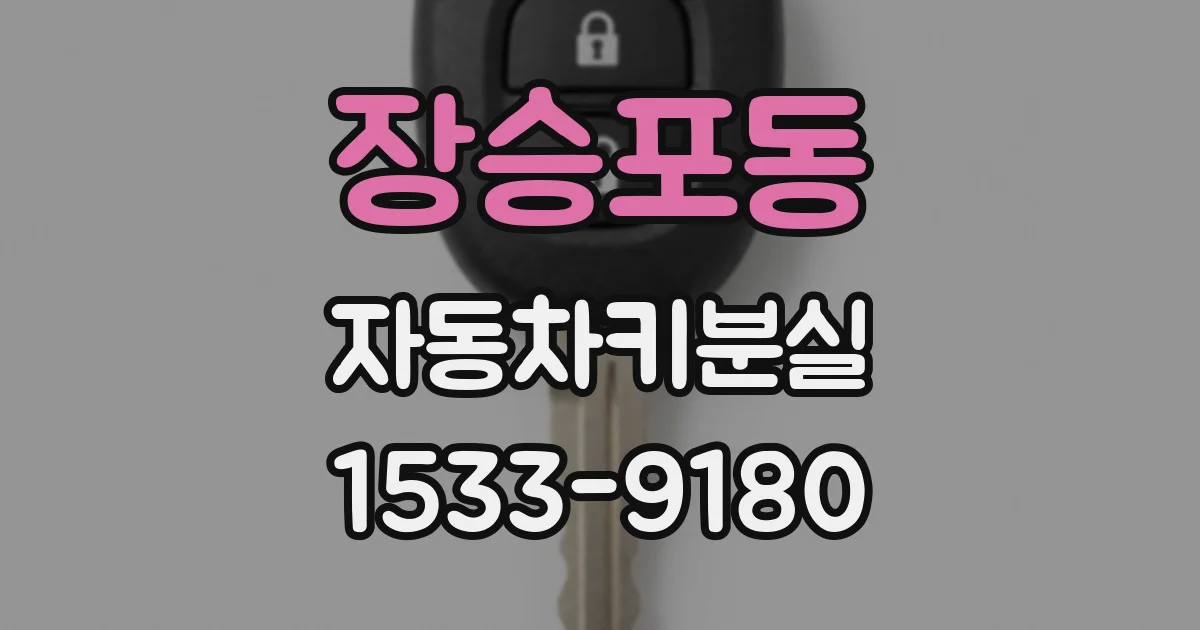 장승포동 자동차키분실
