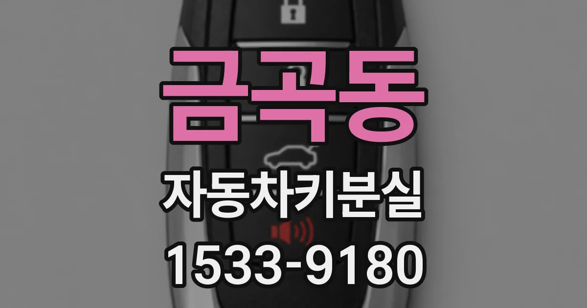 금곡동 자동차키분실