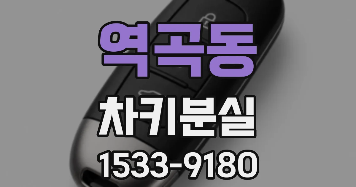 역곡동 차키분실