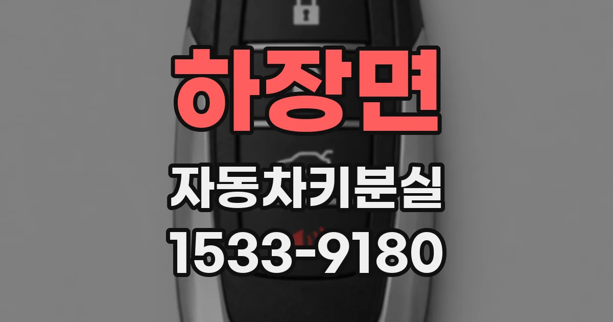 하장면 자동차키분실