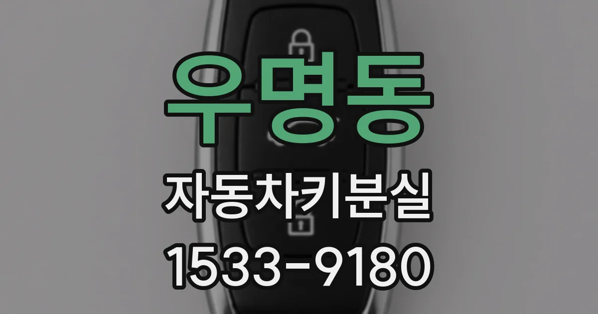 우명동 자동차키분실