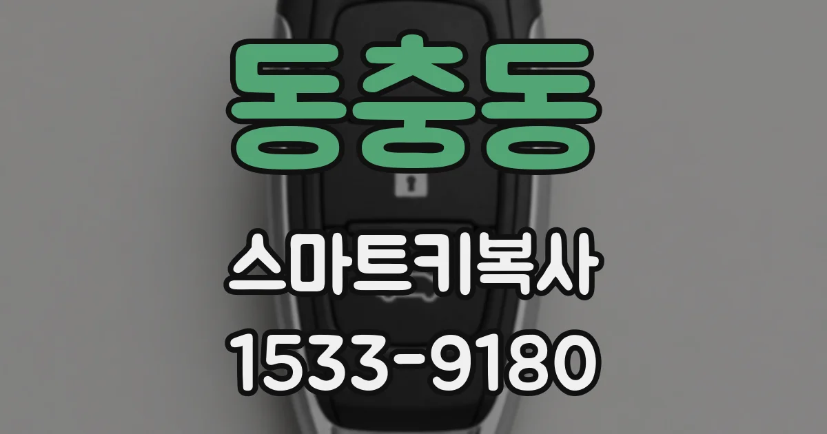 동충동 스마트키복사