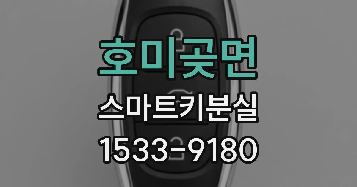 호미곶면 스마트키분실