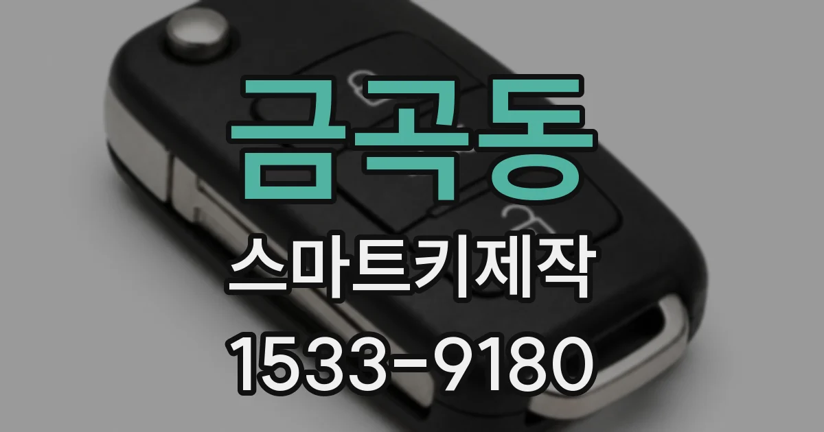 금곡동 스마트키제작