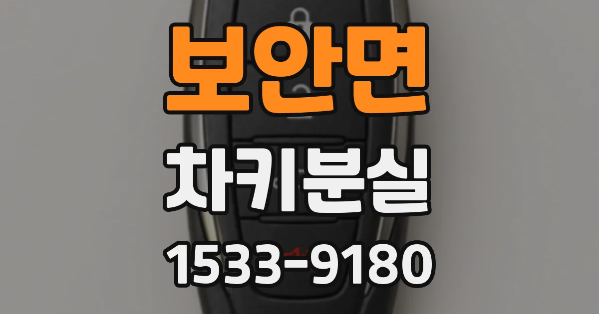 보안면 차키분실