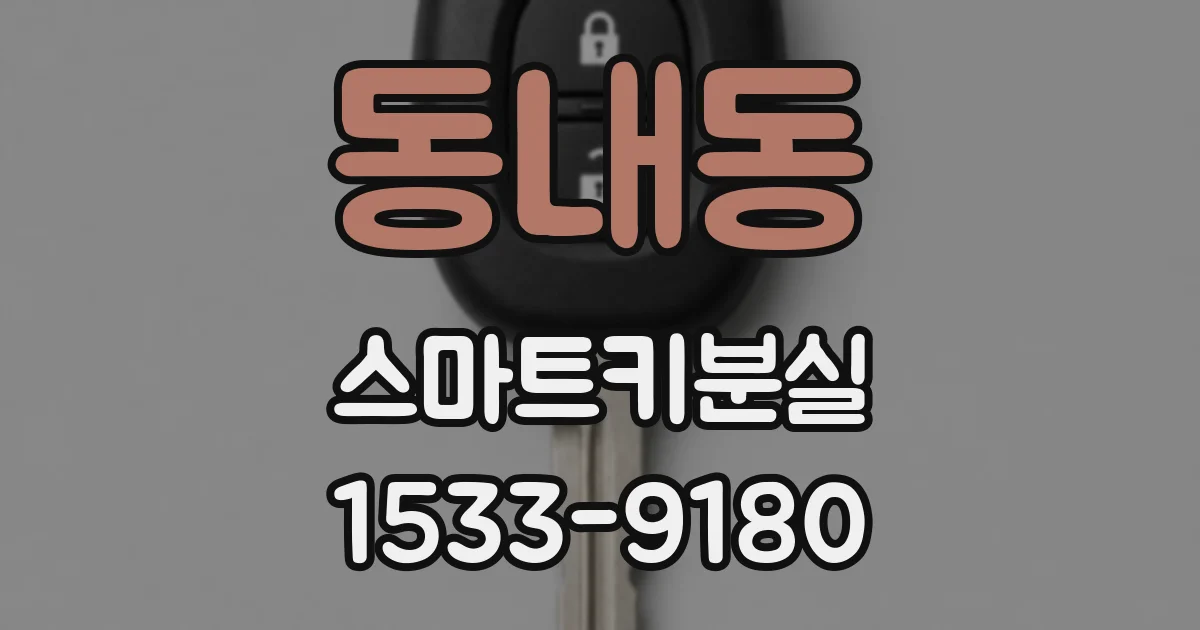 동내동 스마트키분실