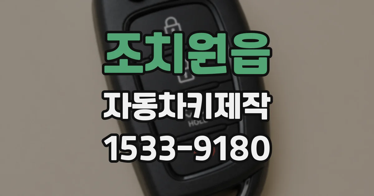 조치원읍 자동차키제작