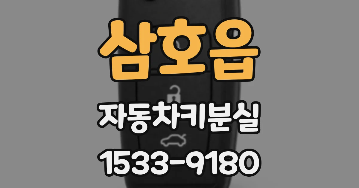 삼호읍 자동차키분실