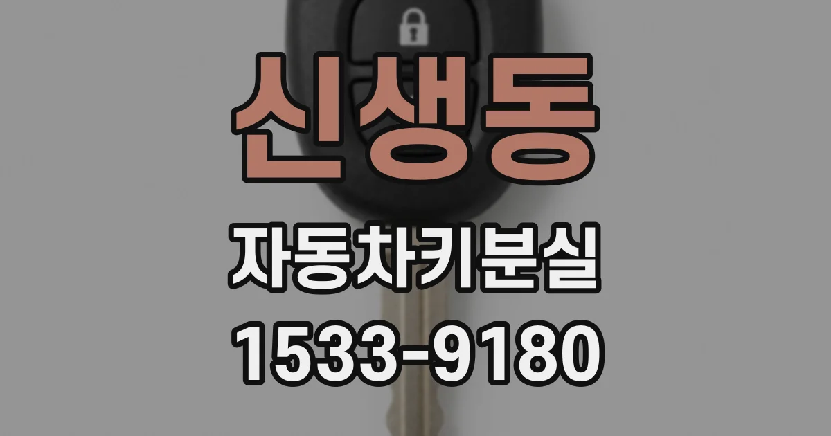 신생동 자동차키분실