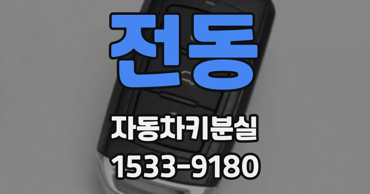 전동 자동차키분실