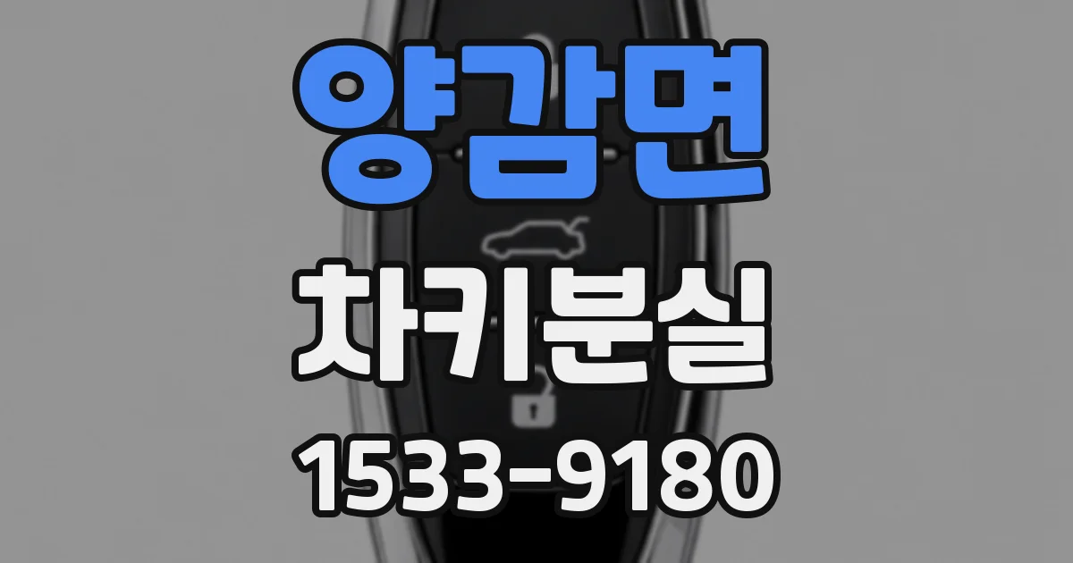 양감면 차키분실
