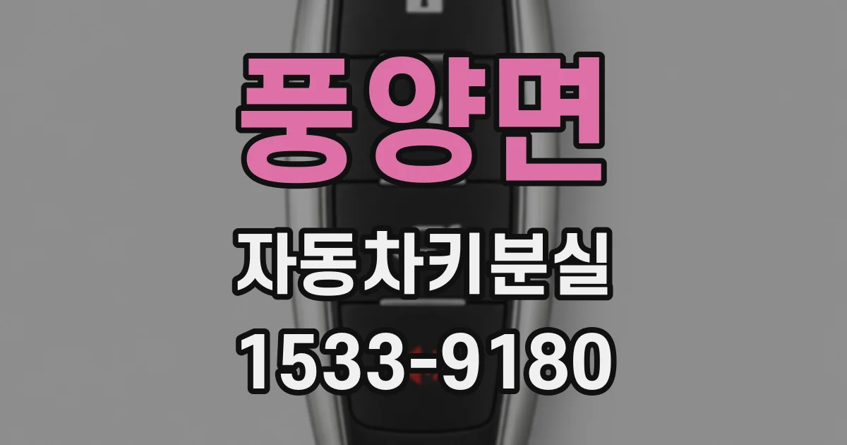 풍양면 자동차키분실