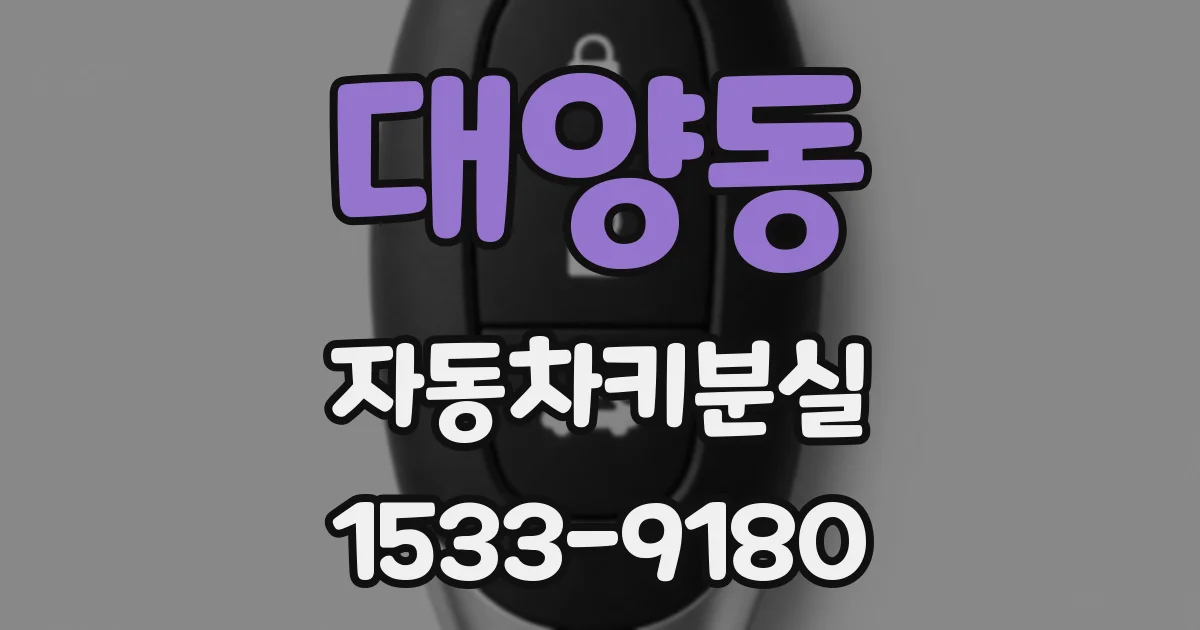 대양동 자동차키분실