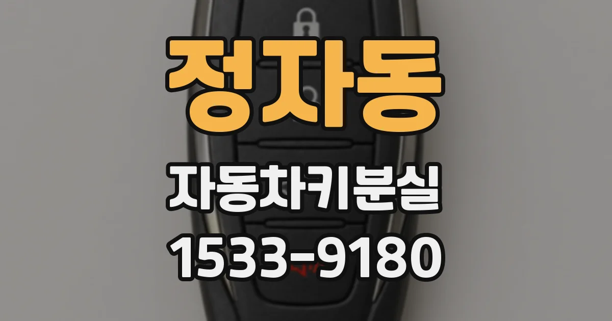 정자동 자동차키분실