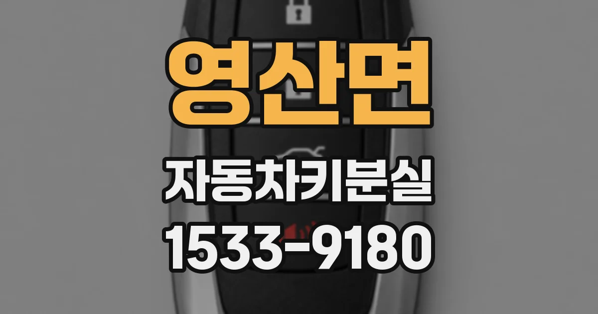 영산면 자동차키분실