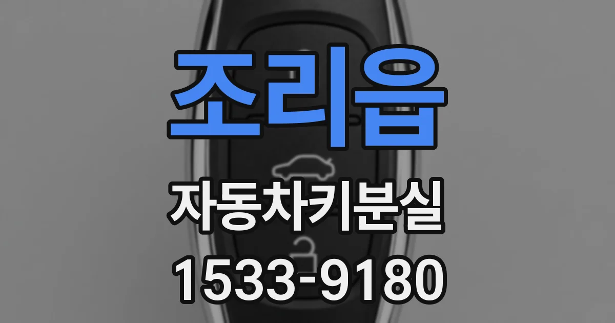 조리읍 자동차키분실