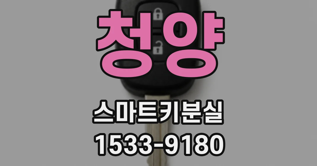 청양 스마트키분실