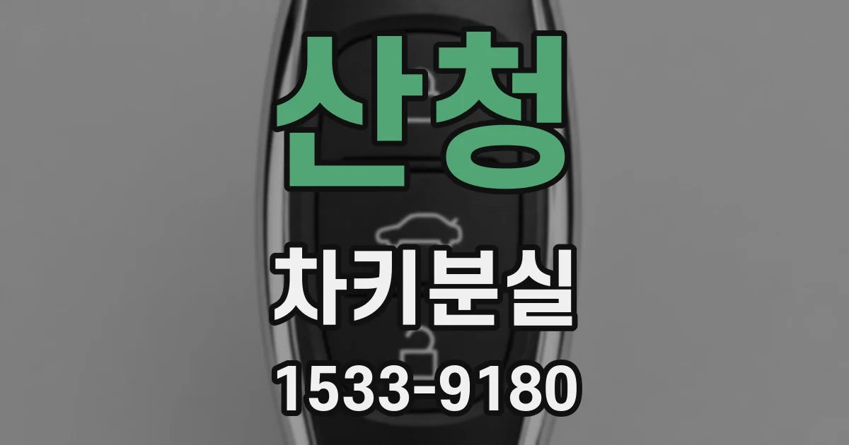 산청 차키분실
