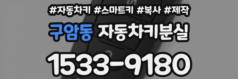구암동 자동차키분실