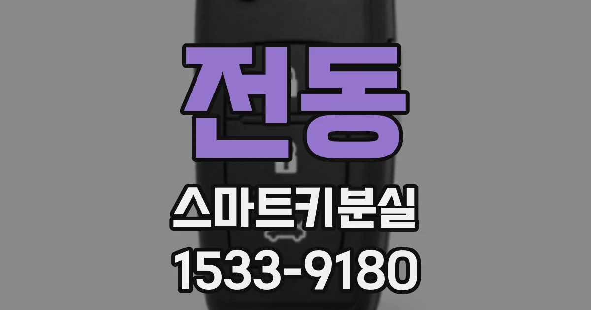 전동 스마트키분실
