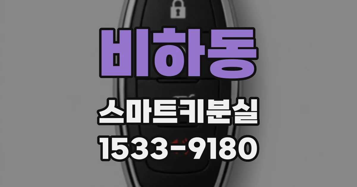 비하동 스마트키분실