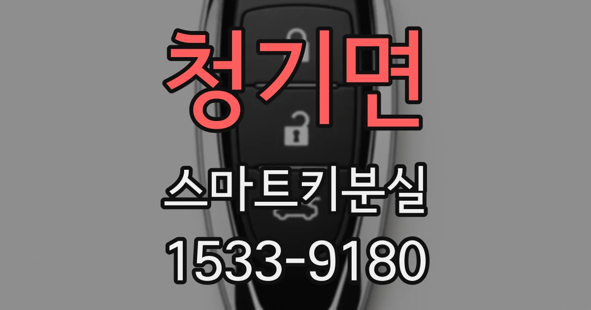 청기면 스마트키분실