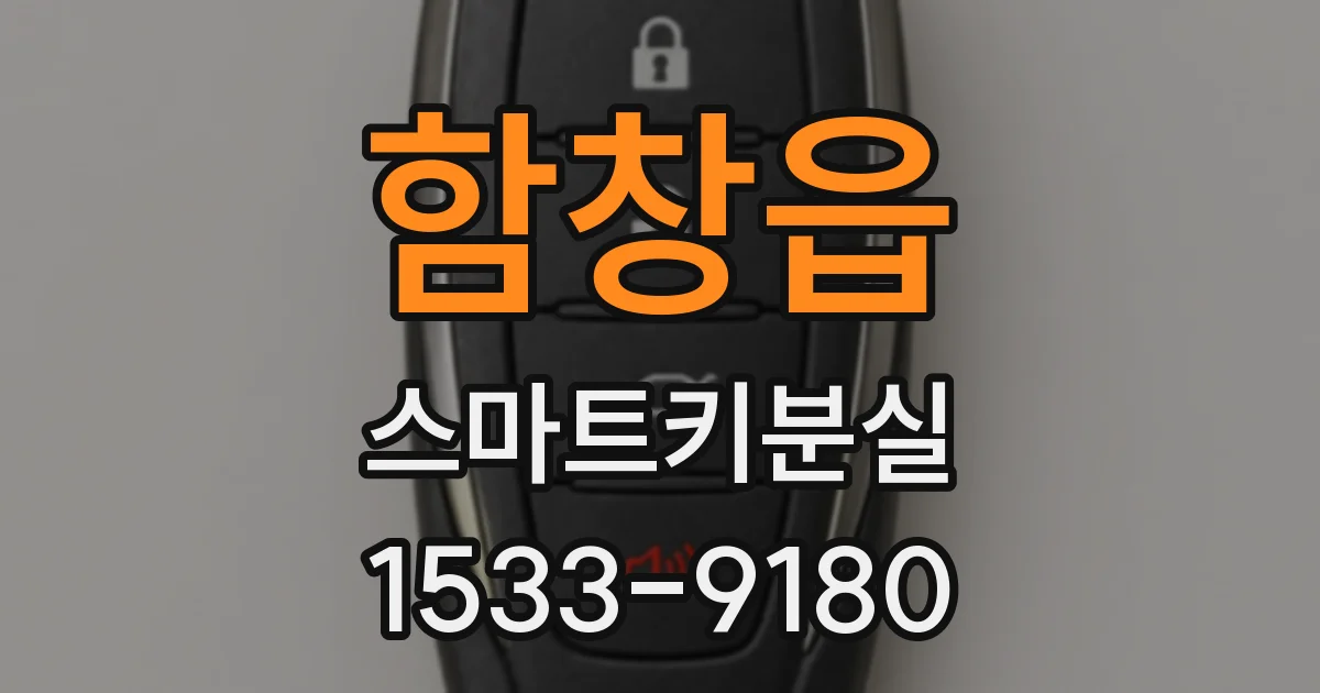 함창읍 스마트키분실