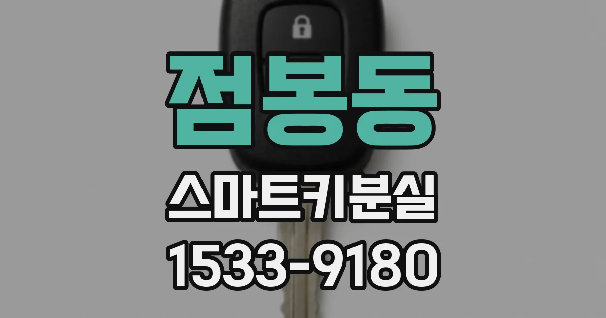 점봉동 스마트키분실