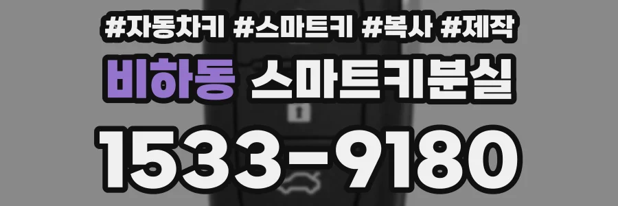 비하동 스마트키분실