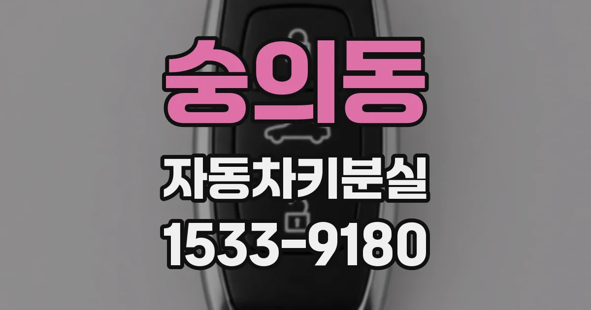 숭의동 자동차키분실