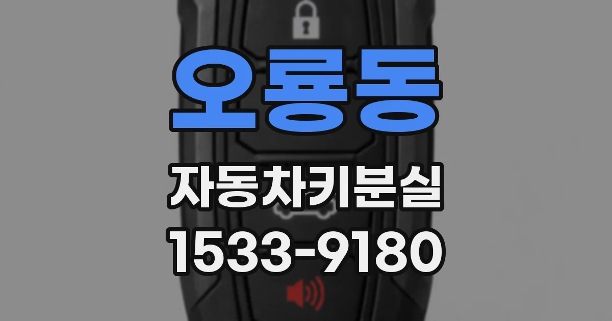 오룡동 자동차키분실