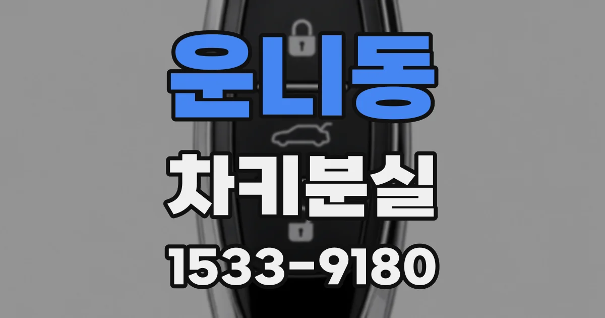 운니동 차키분실
