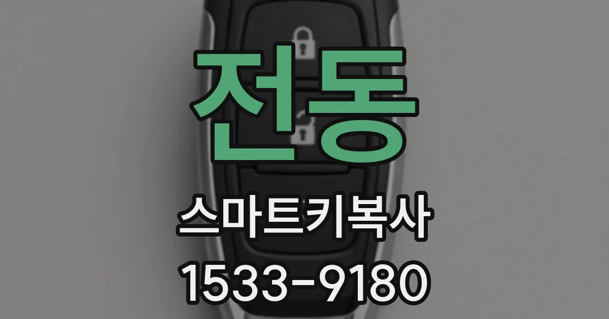 전동 스마트키복사