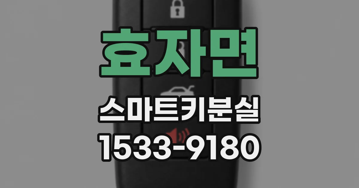 효자면 스마트키분실