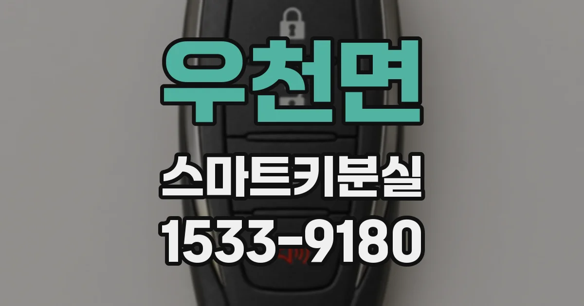 우천면 스마트키분실