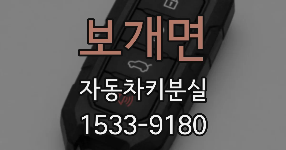 보개면 자동차키분실