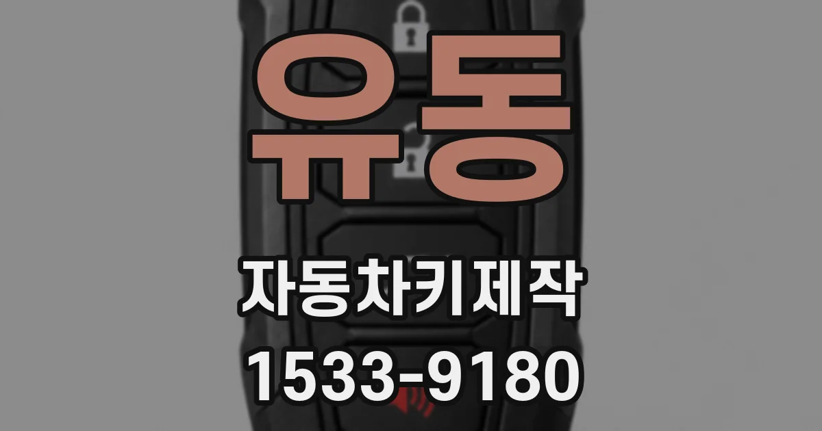 유동 자동차키제작