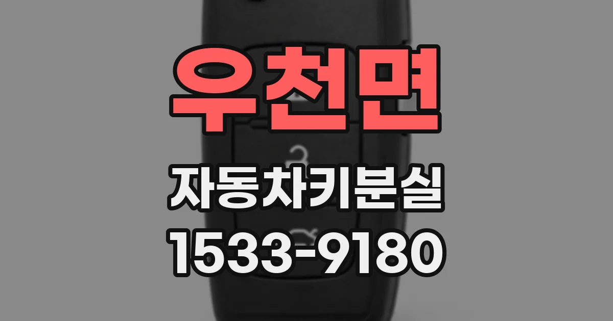 우천면 자동차키분실