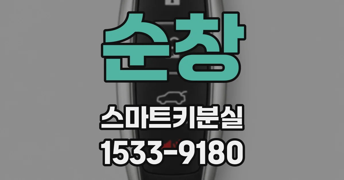 순창 스마트키분실
