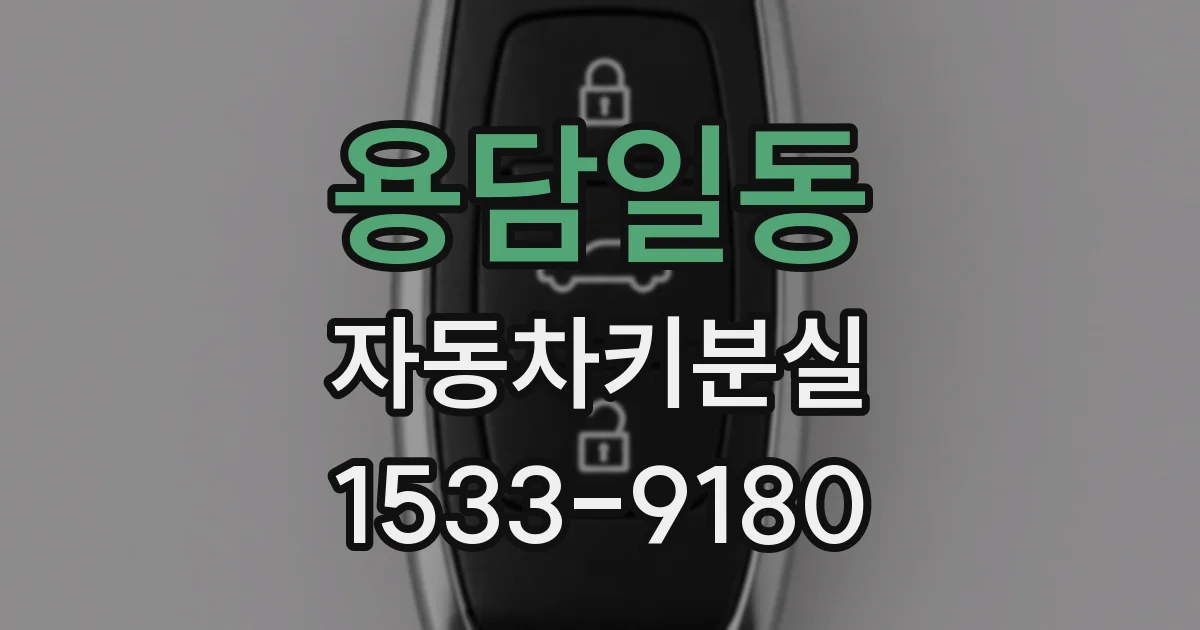 용담일동 자동차키분실