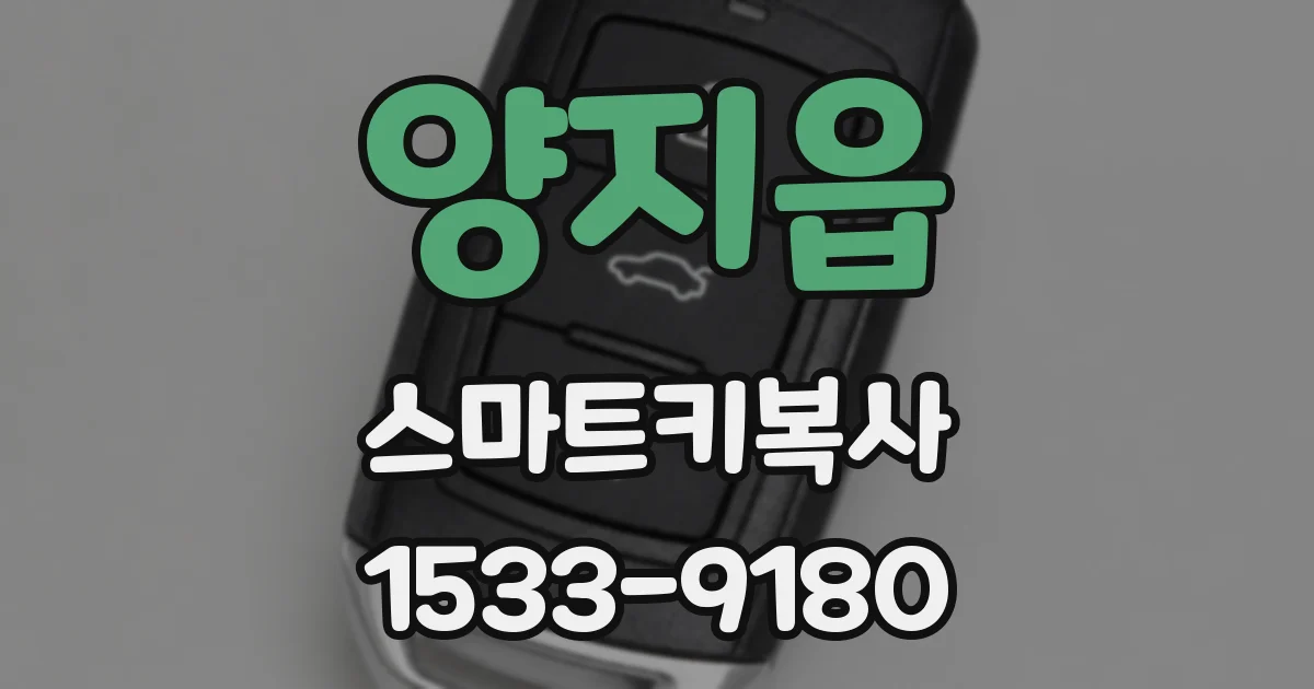 양지읍 스마트키복사